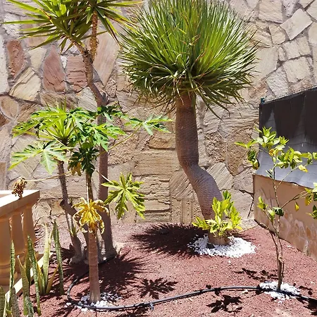 Villa Casa Lily *